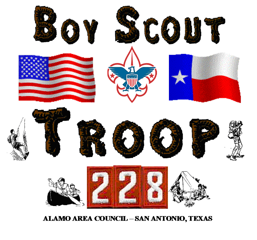 Troop 228 Logo